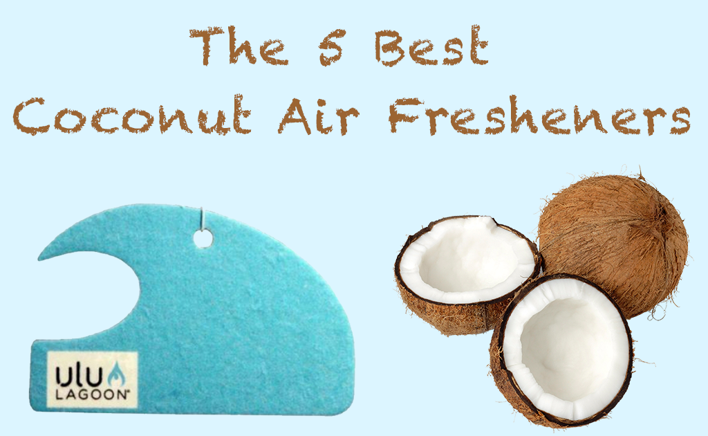 Best Surf Wax Coconut Air Fresheners Review
