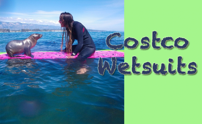 best Wetsuits at Costco