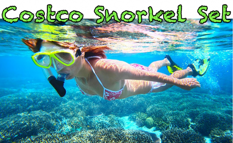 Costco Snorkel Set