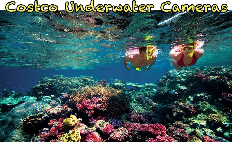 Costco Underwater Camera