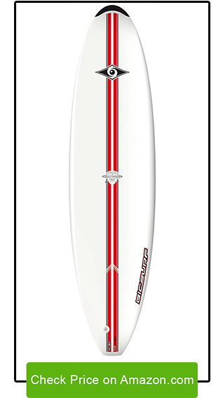 BIC Sport ACS Mini Malibu Surfboard