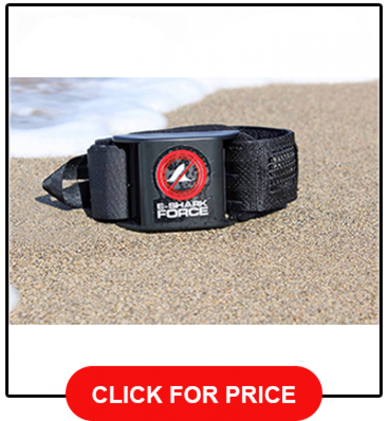 Best Shark Repellent Review Do They Really Work? [2021]