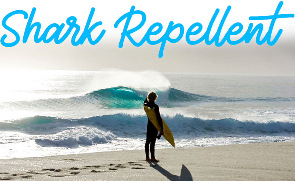 Best Shark Repellent Review Do They Really Work? [2021]