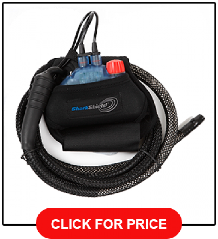 Best Shark Repellent Review Do They Really Work? [2021]