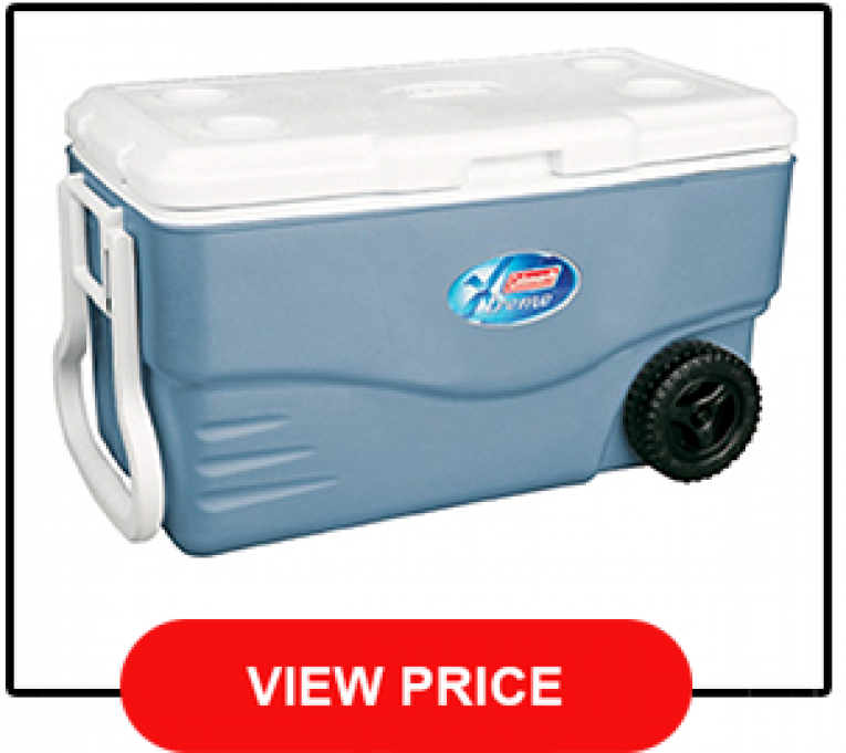 Costco Coolers Review See The 5 Best! [2021]