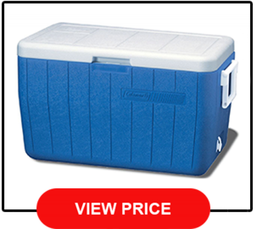 Costco Coolers Review See The 5 Best! [2021]
