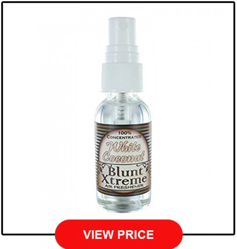 Best Surf Wax Coconut Air Fresheners Review Top 5