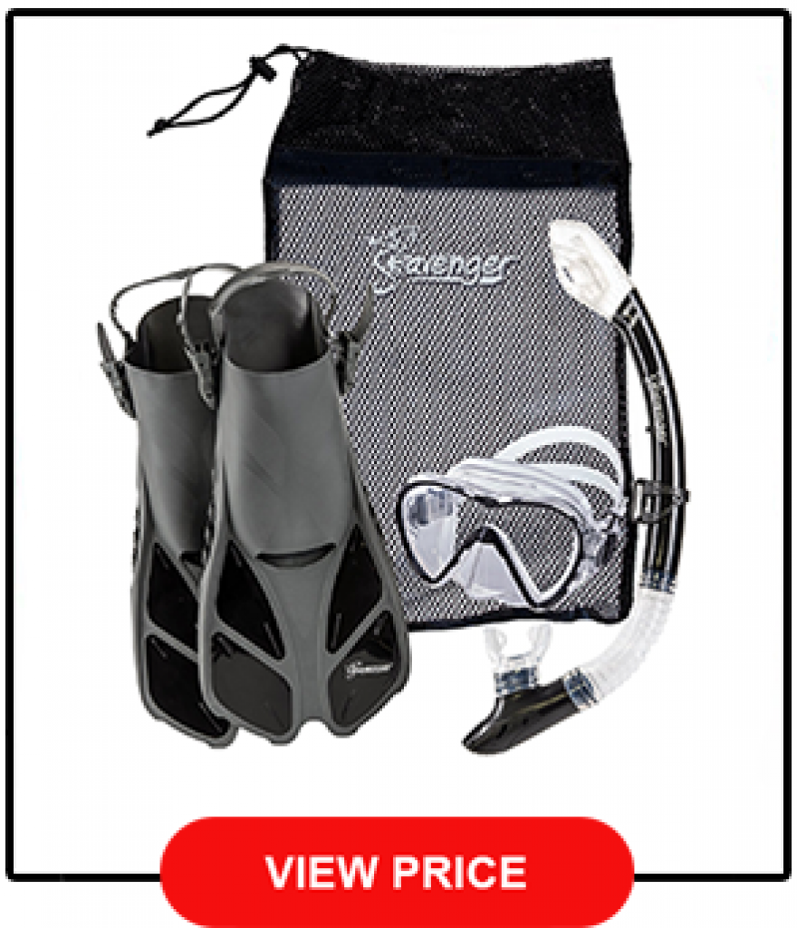 Costco Snorkel Set Reviews, See Our List Of The 5 Best! [2021]