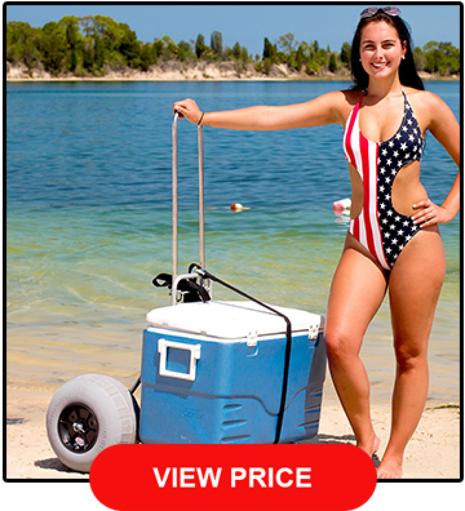 Best Beach Carts The Ultimate Guide See Our Top 15 2644