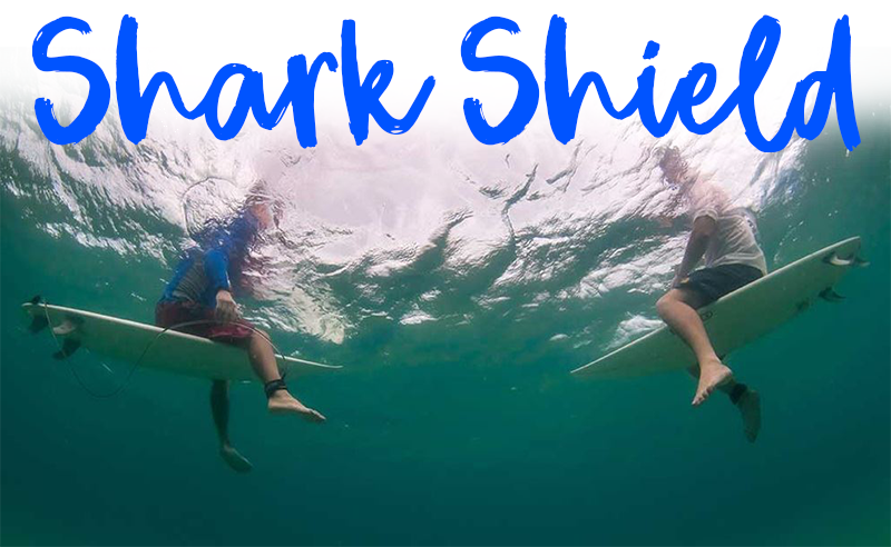 Shark Shield Review