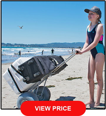 Wheeleez Folding Beach Cart