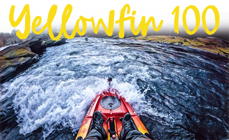 Vibe Yellowfin 100 Review