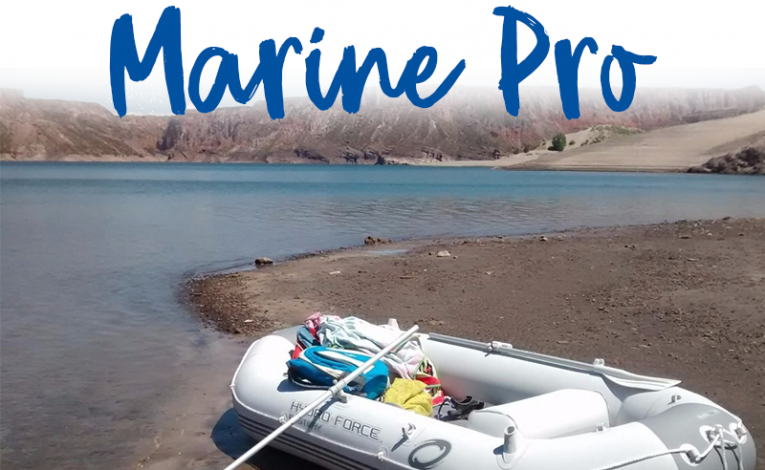 Hydro Force Marine Pro Review