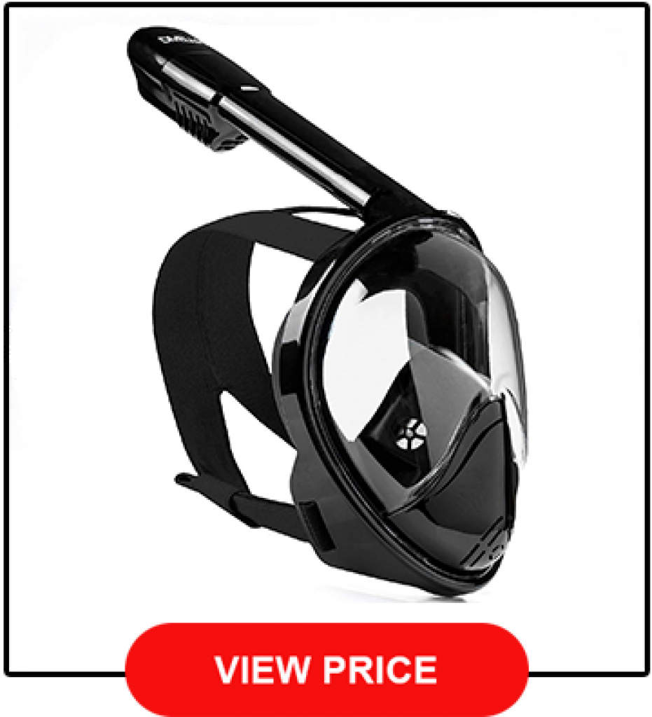 Best Snorkel Mask Reviews [The Top 13 In 2021 + Buyer's Guide]