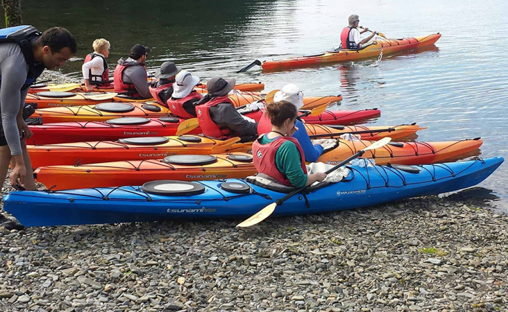 Kayaking Tips For Beginners [See The Top 35 Of 2021] Fin Bin