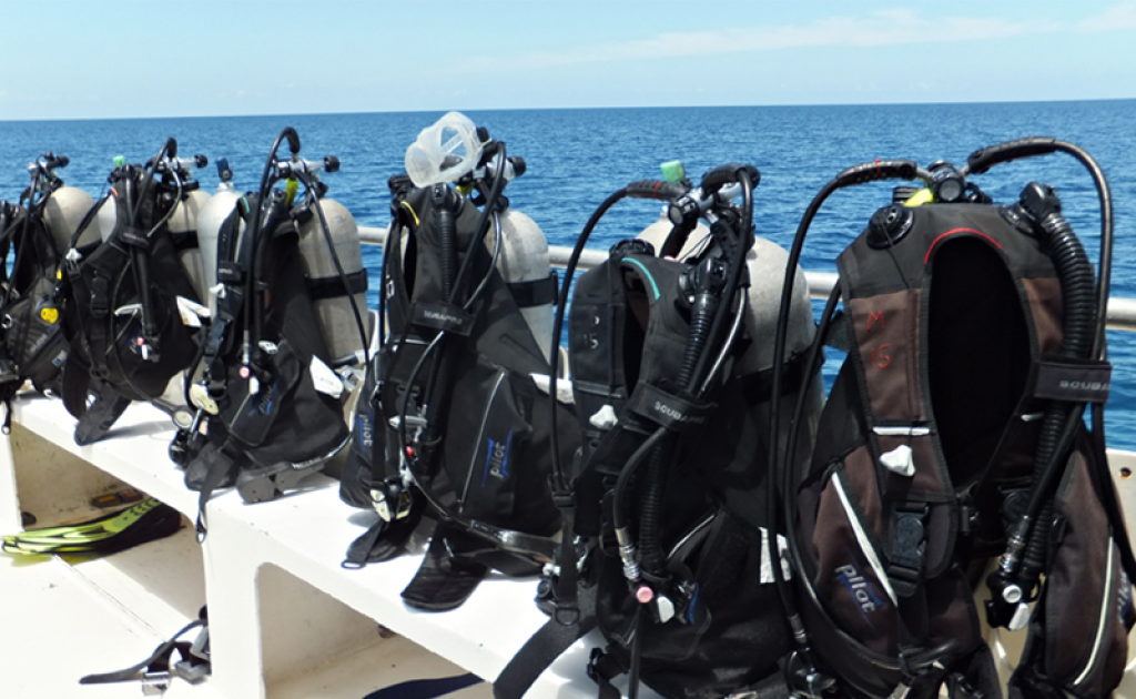 Where To Buy Your Scuba Gear? [2021 Update] StepbyStep Guide