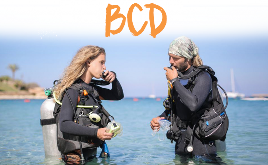 Best BCD Reviews [The Top 9 In 2021] + Buyer's Guide