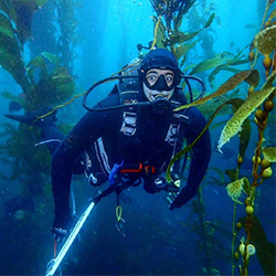 Chris Honeyman scuba diving