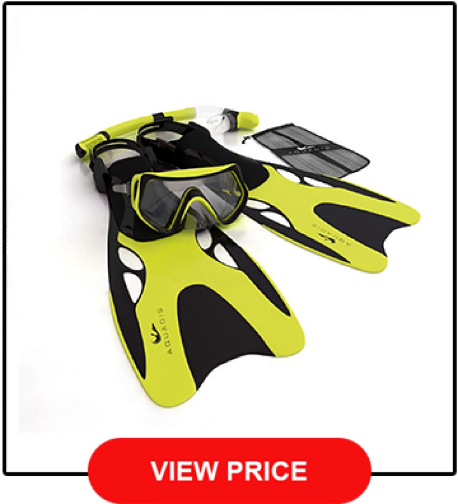 Best Snorkel Gear Review [The Top 10 In 2021 + Buyer's Guide]