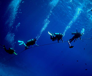 Common Depths For Beginner Scuba Divers