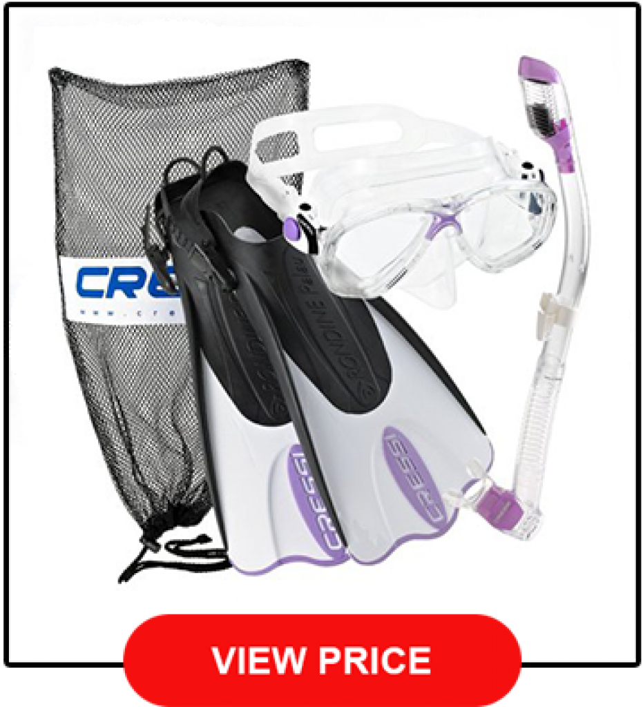 Best Snorkel Gear Review [The Top 10 In 2021 + Buyer's Guide]