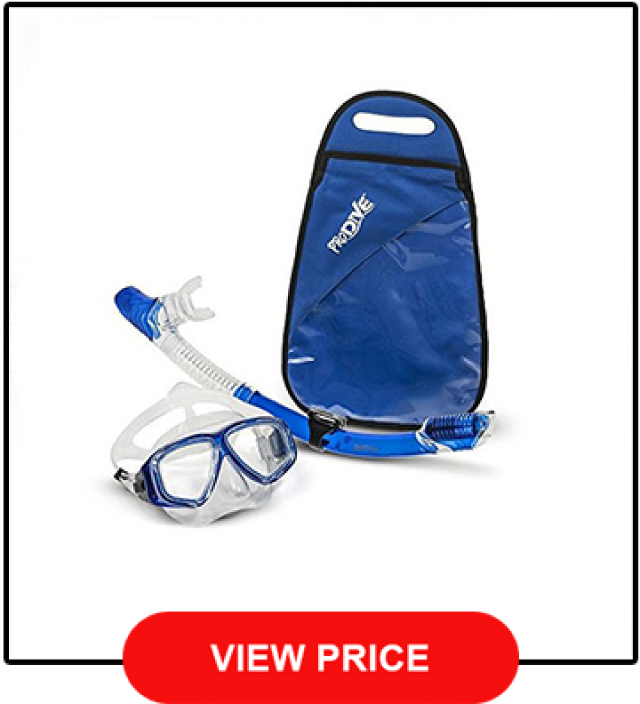 Best Snorkel Gear Review [The Top 10 In 2021 + Buyer's Guide]
