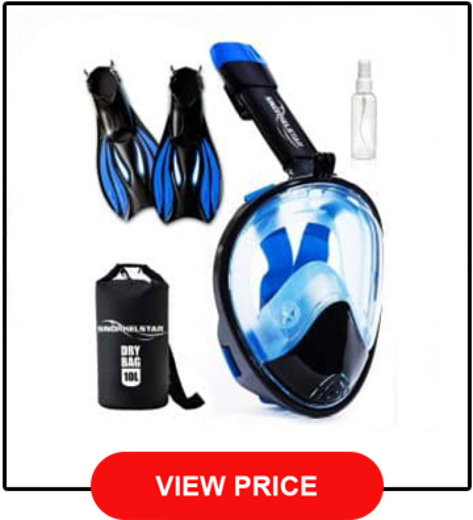 Best Snorkel Gear Review [The Top 10 In 2021 + Buyer's Guide]