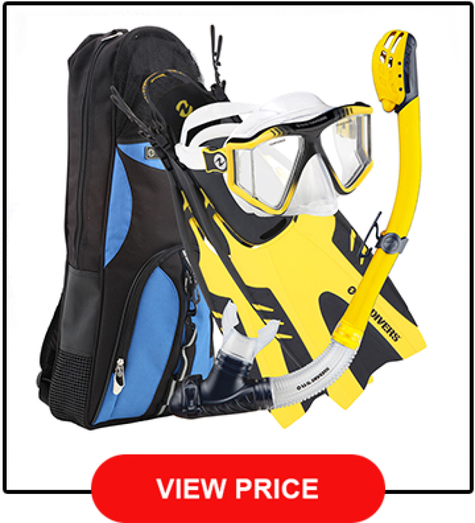 Best Snorkel Gear Review [The Top 10 In 2021 + Buyer's Guide]