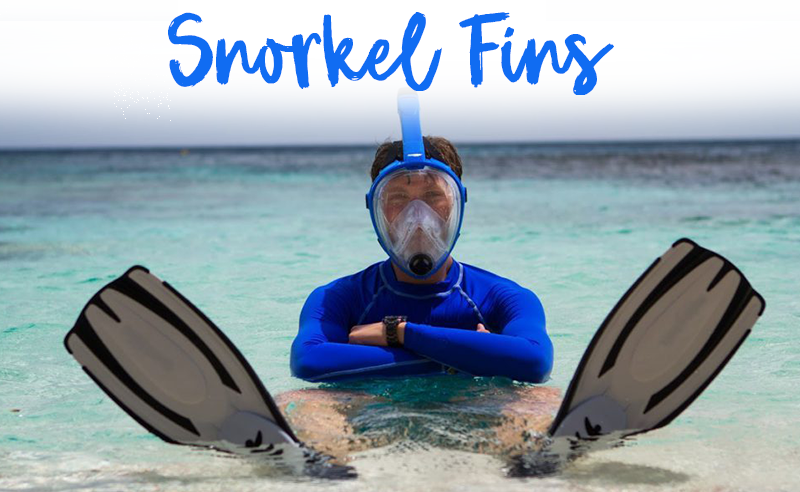 Best Snorkel Fins