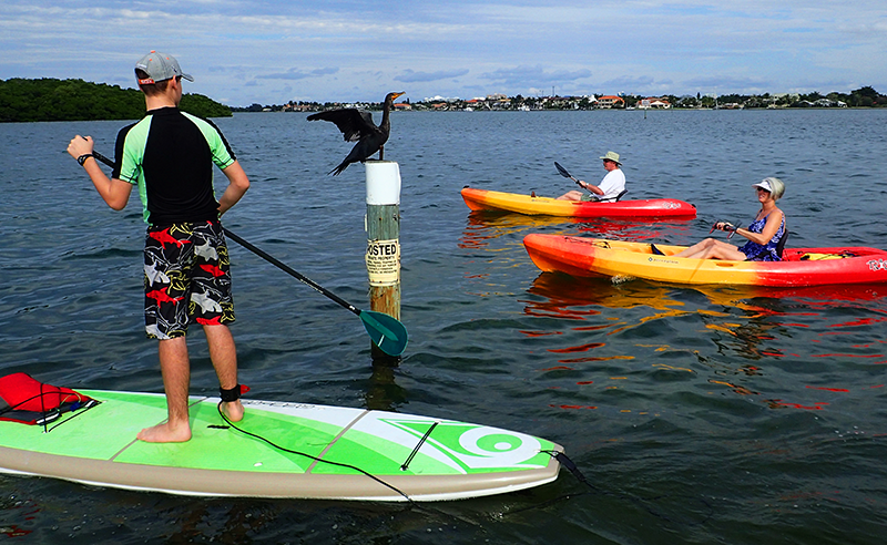 Stand Up Paddle Board Vs. Kayak