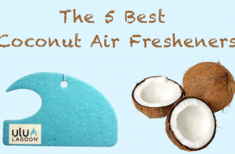 The 5 Best Surf Wax Coconut Air Fresheners